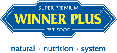 Winner Plus